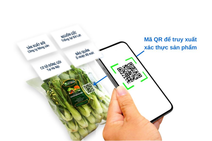 in mã hàng loạt bắt buộc truy xuất nguồn gốc năm 2026