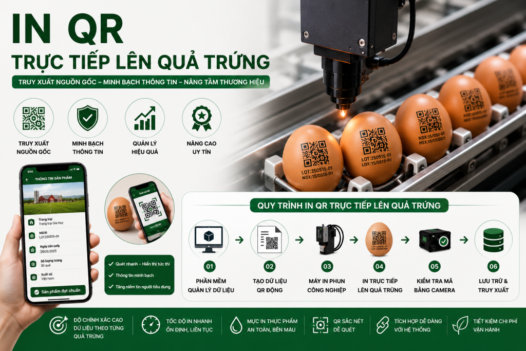 In QR trên vỉ trứng