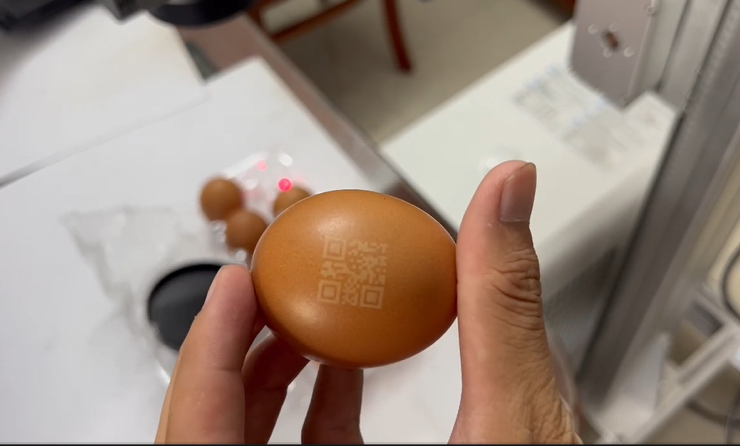 In QR trên vỉ trứng truy xuất nguồn gốc