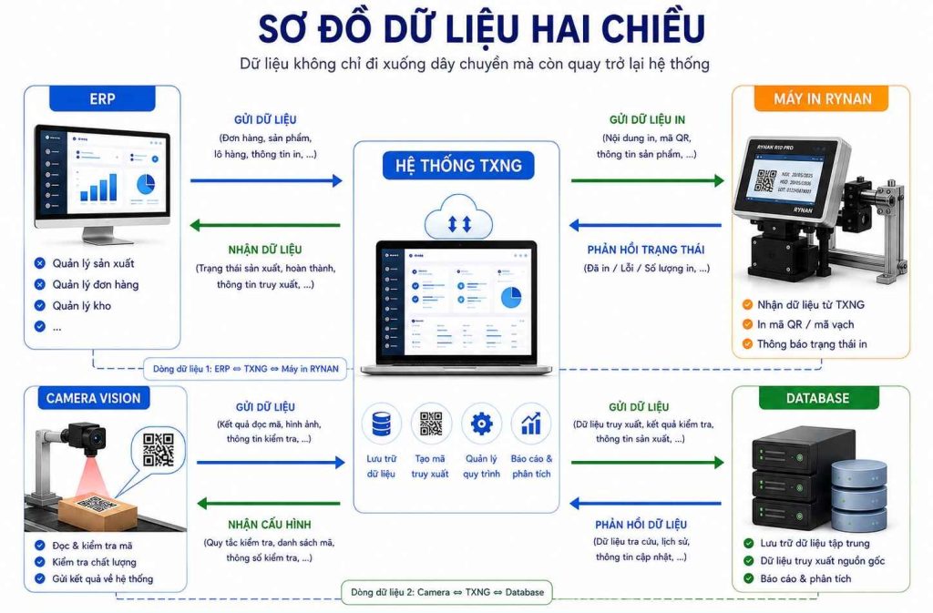 Quy trình kết nối dữ liệu truy xuất nguồn gốc